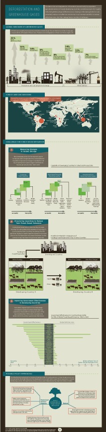 CBO's Deforestation Infographic